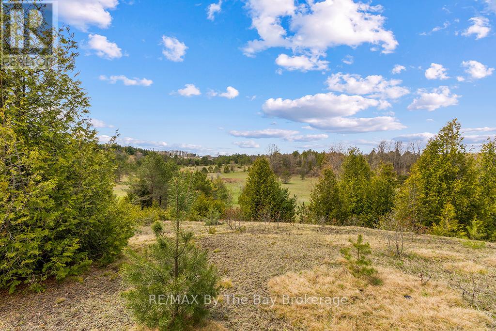353814 Osprey Artemesia Townline, Grey Highlands, Ontario  N0C 1J0 - Photo 22 - X13237674