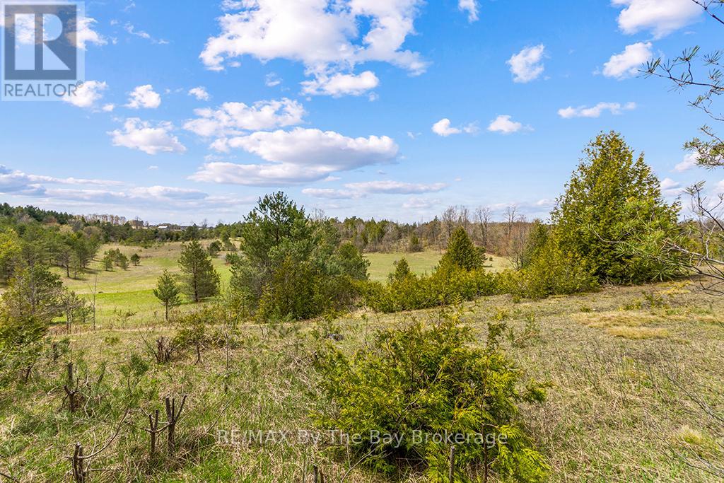 353814 Osprey Artemesia Townline, Grey Highlands, Ontario  N0C 1J0 - Photo 23 - X13237674