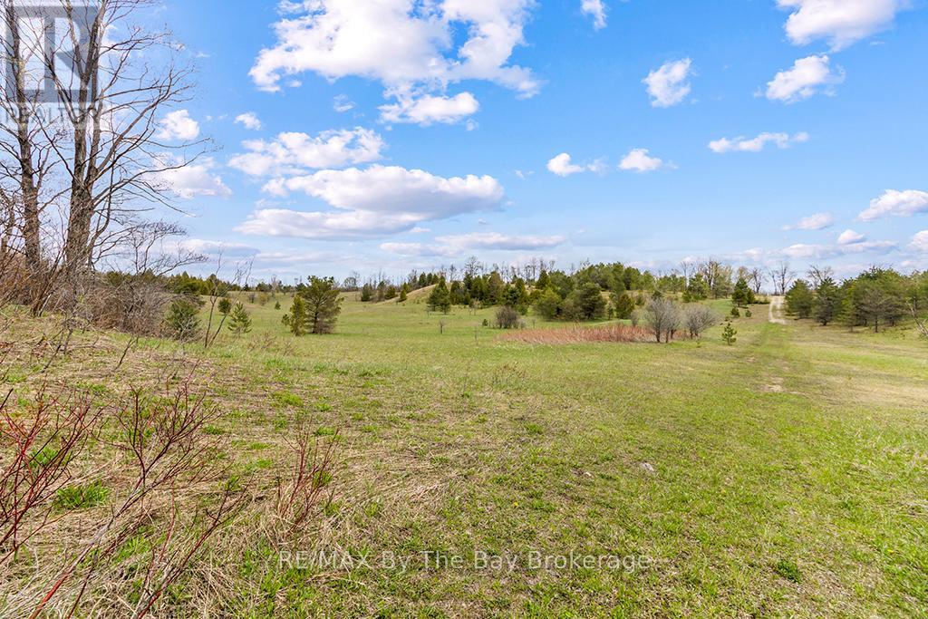 353814 Osprey Artemesia Townline, Grey Highlands, Ontario  N0C 1J0 - Photo 6 - X13237674