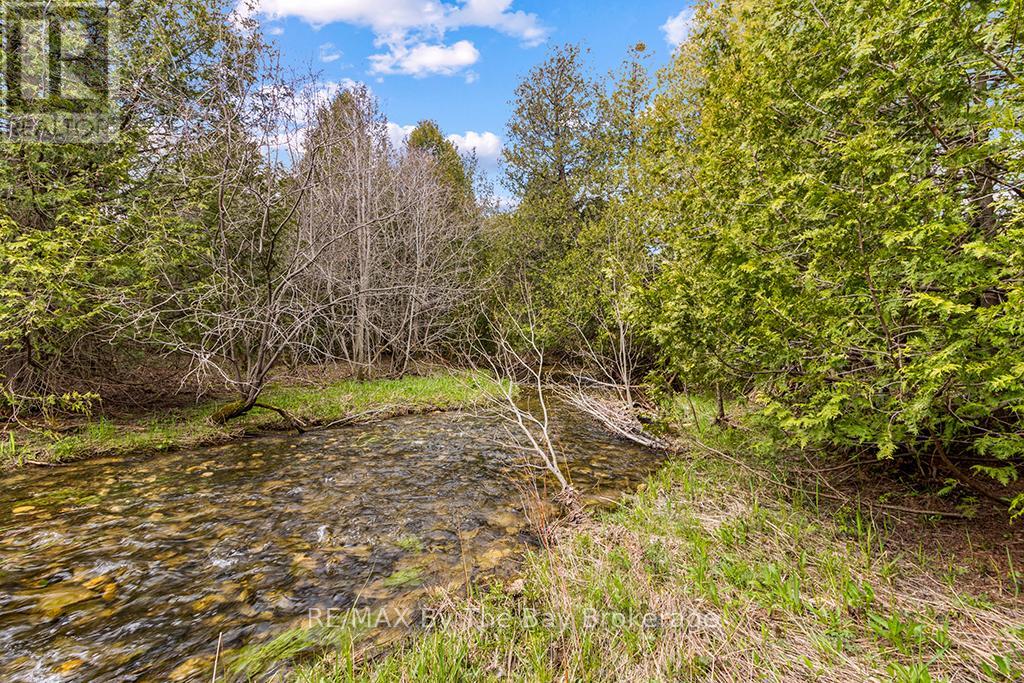 353814 Osprey Artemesia Townline, Grey Highlands, Ontario  N0C 1J0 - Photo 9 - X13237674