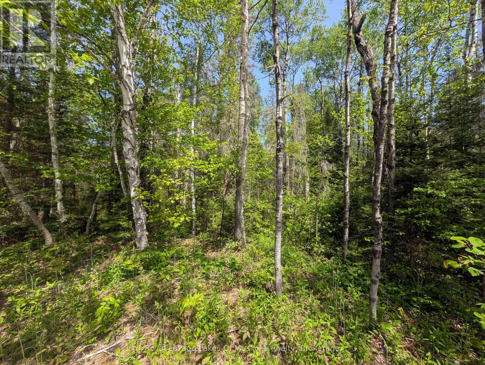 10 Poplar Street, South River, Ontario  P0A 1X0 - Photo 2 - X13237744
