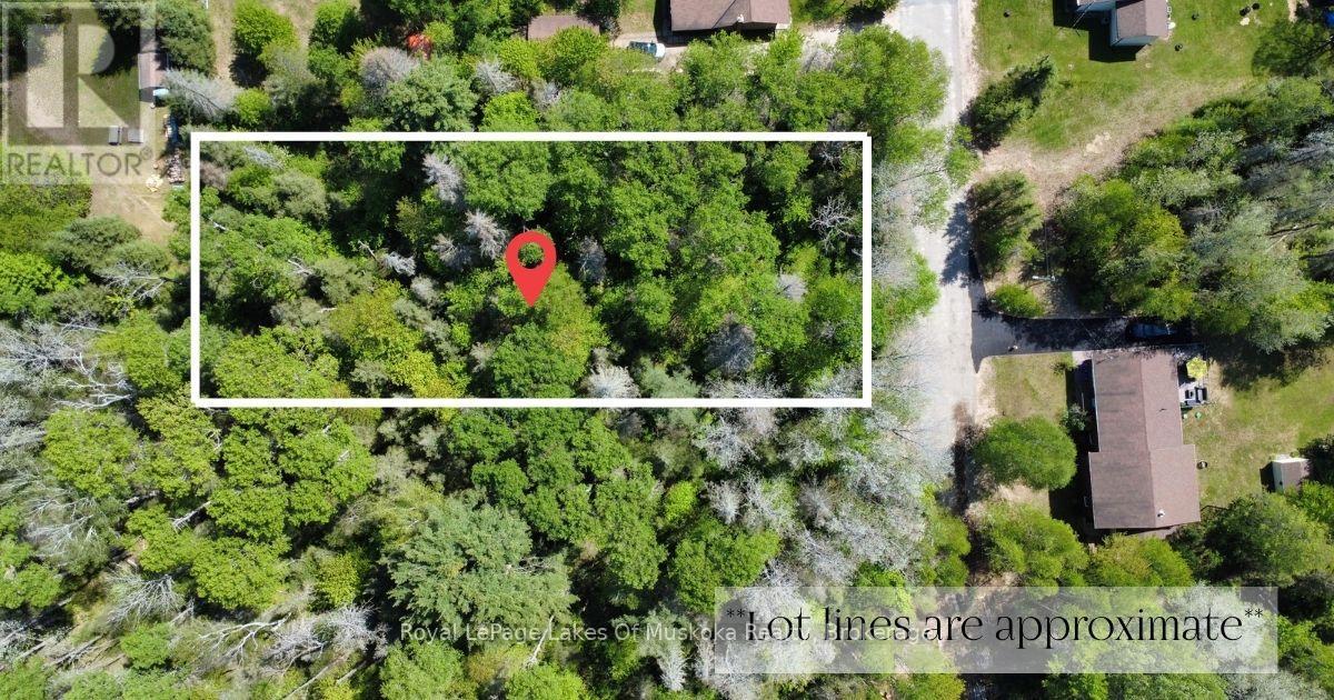 10 Poplar Street, South River, Ontario  P0A 1X0 - Photo 4 - X13237744