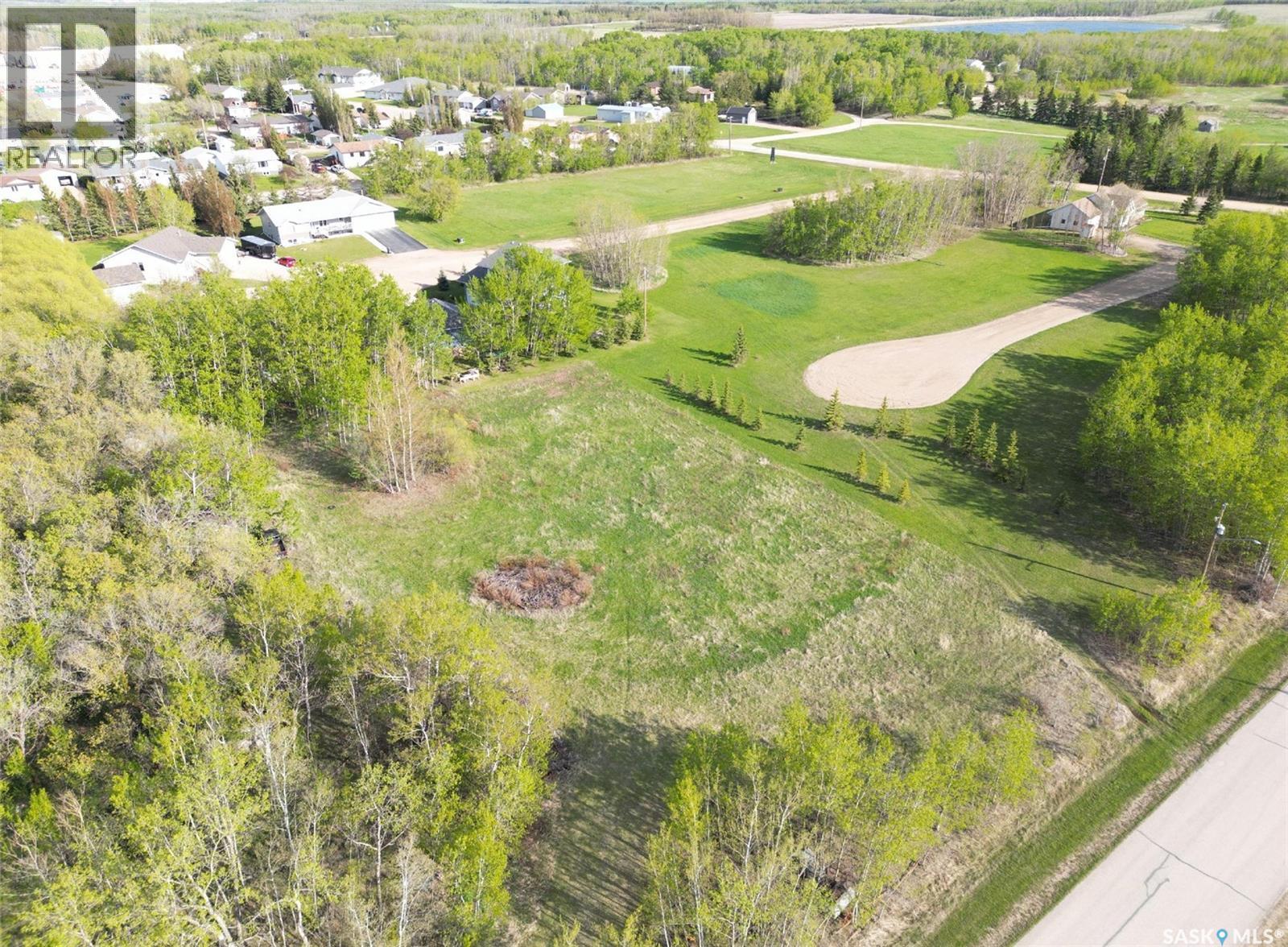 Lot 21 Block 16, St. Brieux, Saskatchewan  S0K 3V0 - Photo 6 - SK038006