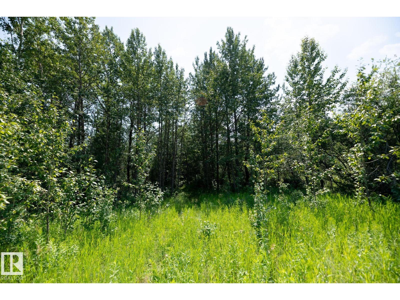 23246 Twp Rd 521a, Rural Strathcona County, Alberta  T8B 1G8 - Photo 17 - E4478271