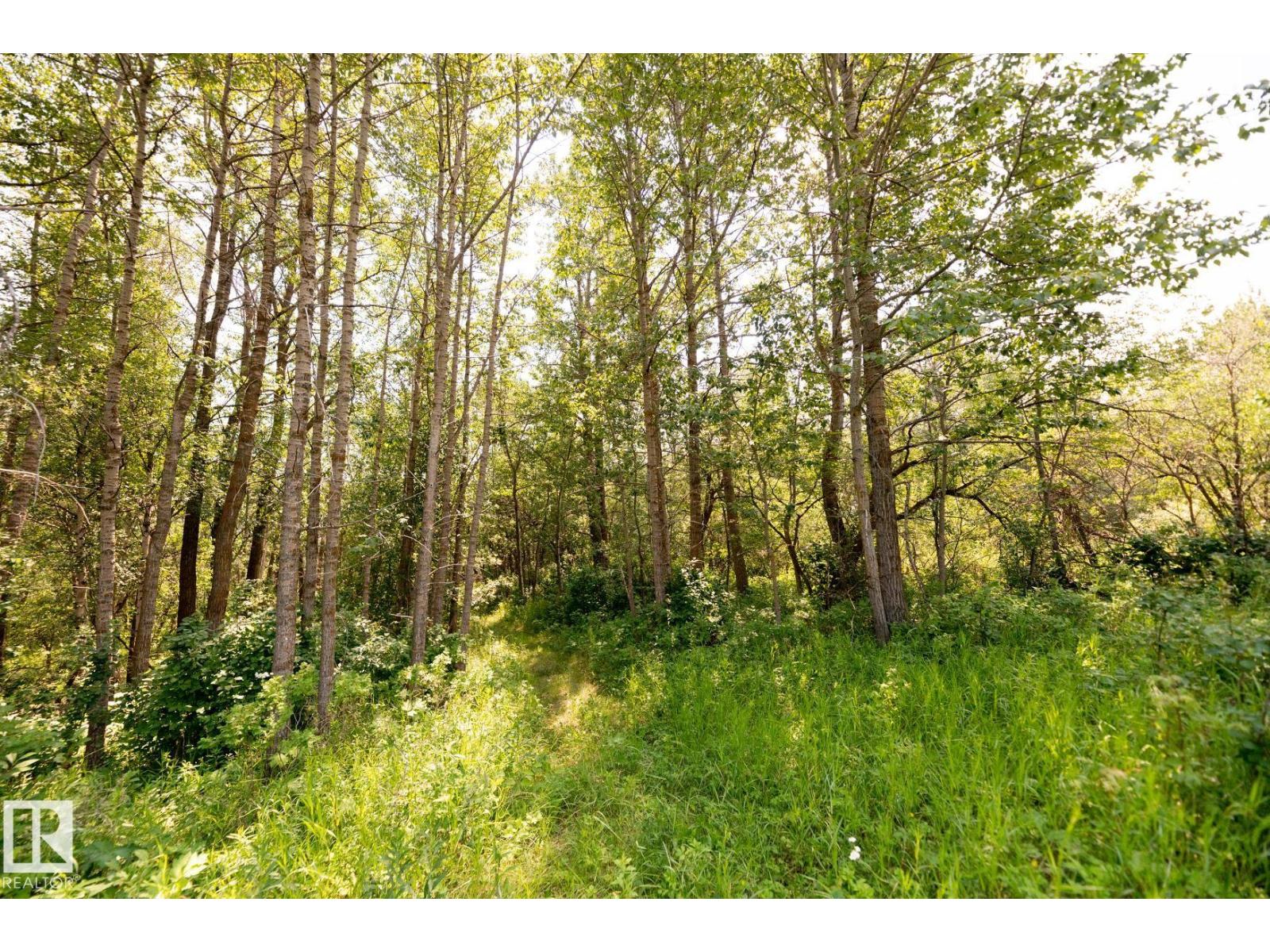 23246 Twp Rd 521a, Rural Strathcona County, Alberta  T8B 1G8 - Photo 18 - E4478271