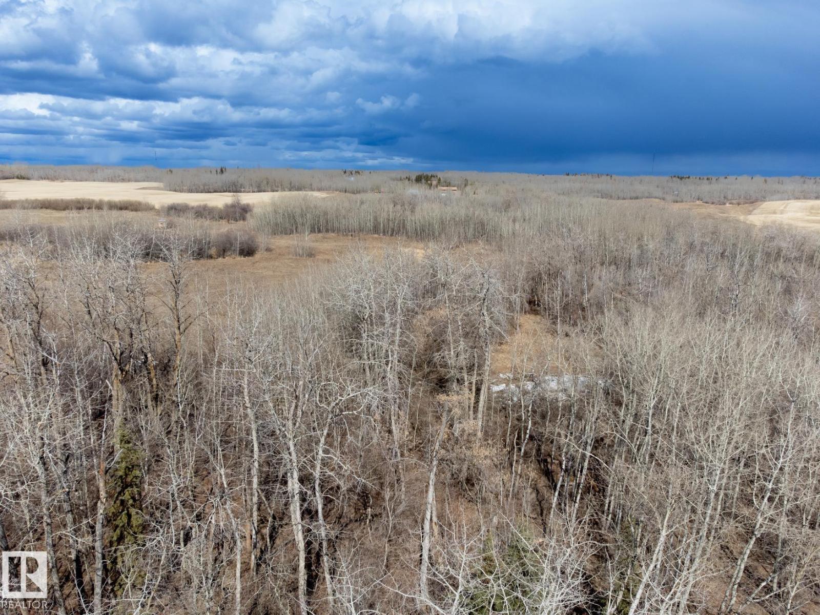 23246 Twp Rd 521a, Rural Strathcona County, Alberta  T8B 1G8 - Photo 29 - E4478271