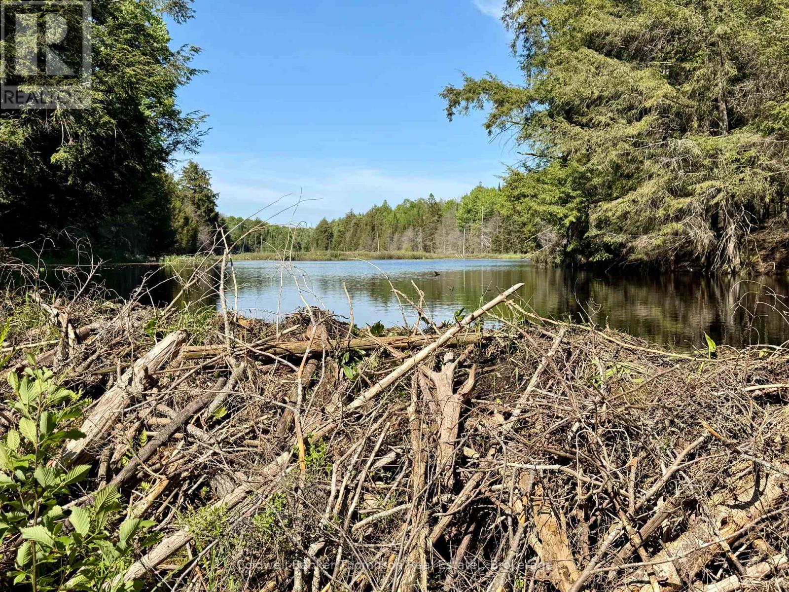 00 Highway 522 Highway W, Parry Sound Remote Area, Ontario  P0H 1S0 - Photo 20 - X13073814