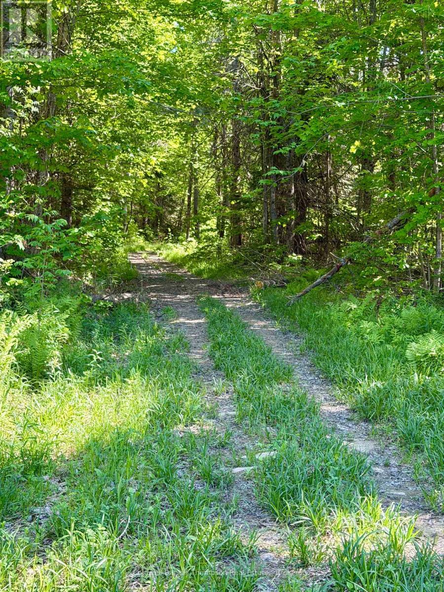 00 Highway 522 Highway W, Parry Sound Remote Area, Ontario  P0H 1S0 - Photo 19 - X13073814