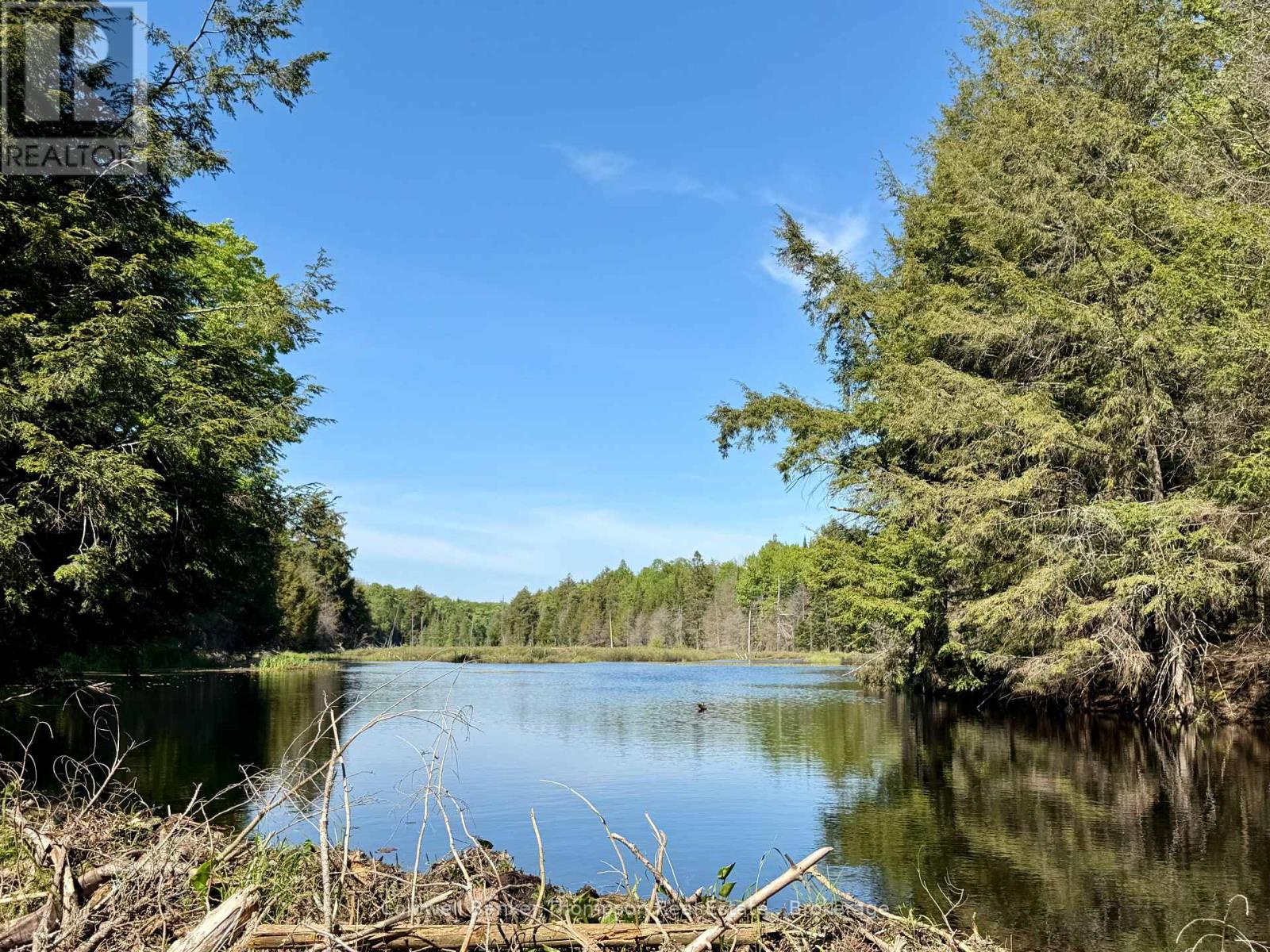00 Highway 522 Highway W, Parry Sound Remote Area, Ontario  P0H 1S0 - Photo 21 - X13073814