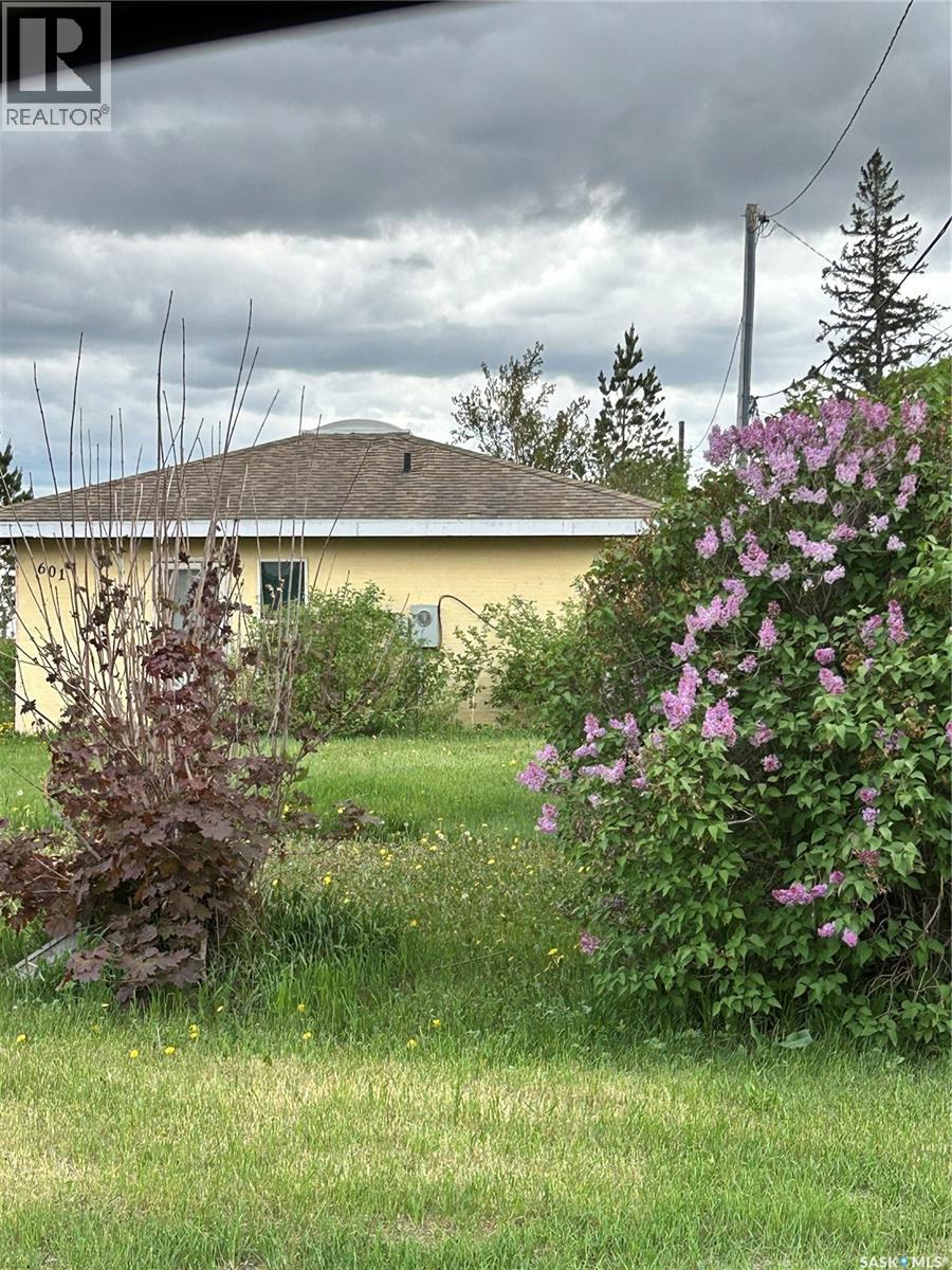 601 Colborne Avenue, Viscount, Saskatchewan  S0K 4M0 - Photo 1 - SK038044