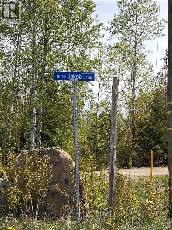16 Sormany, Sormany, New Brunswick  E8K 3W9 - Photo 4 - NB140132