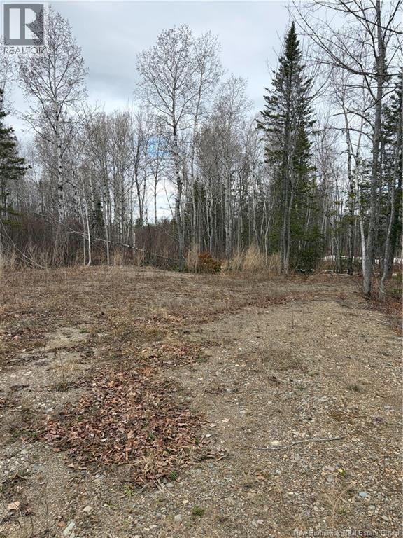 16 Sormany, Sormany, New Brunswick  E8K 3W9 - Photo 10 - NB140132