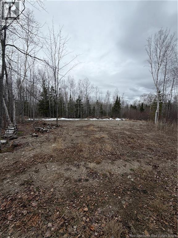 16 Sormany, Sormany, New Brunswick  E8K 3W9 - Photo 14 - NB140132