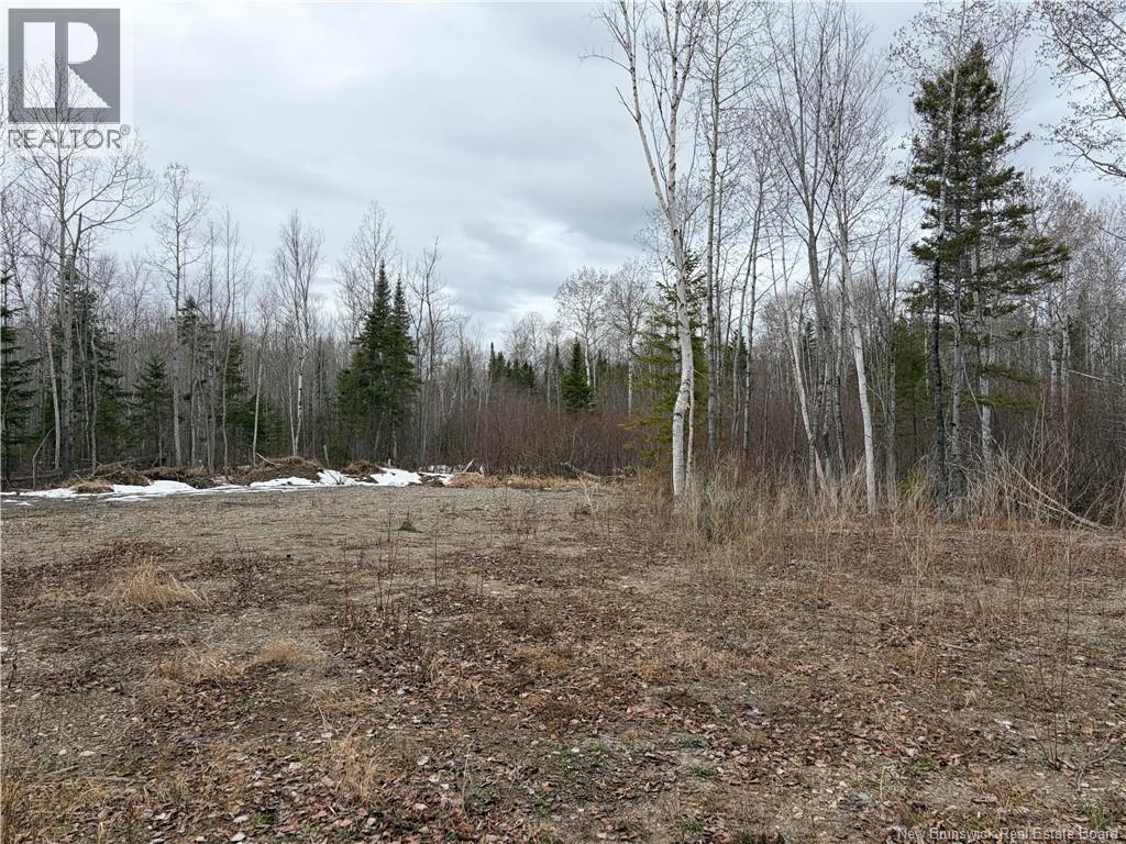 16 Sormany, Sormany, New Brunswick  E8K 3W9 - Photo 13 - NB140132