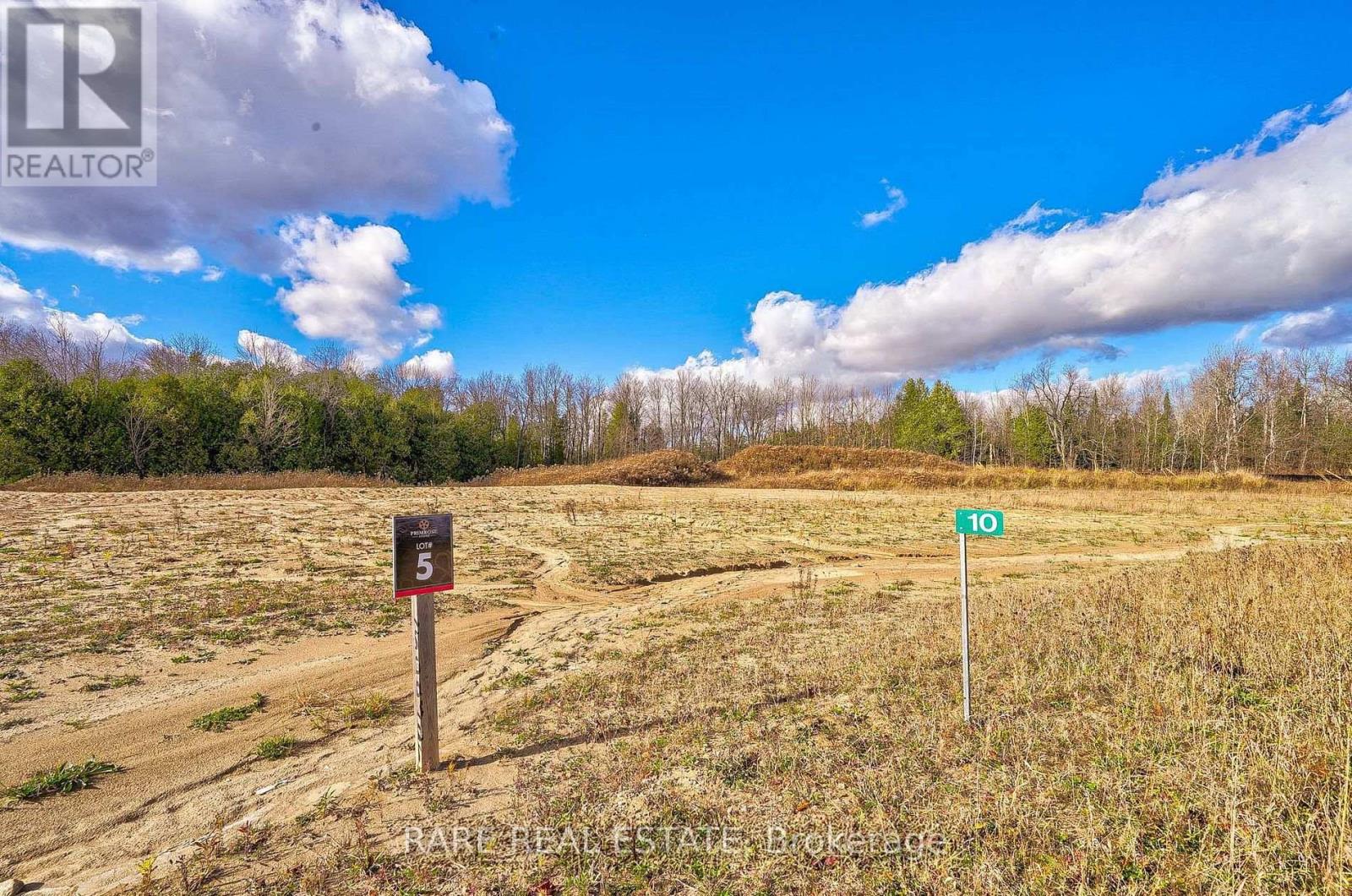 10 Private Berry Drive, Amaranth, Ontario  L9V 2T7 - Photo 3 - X13238194