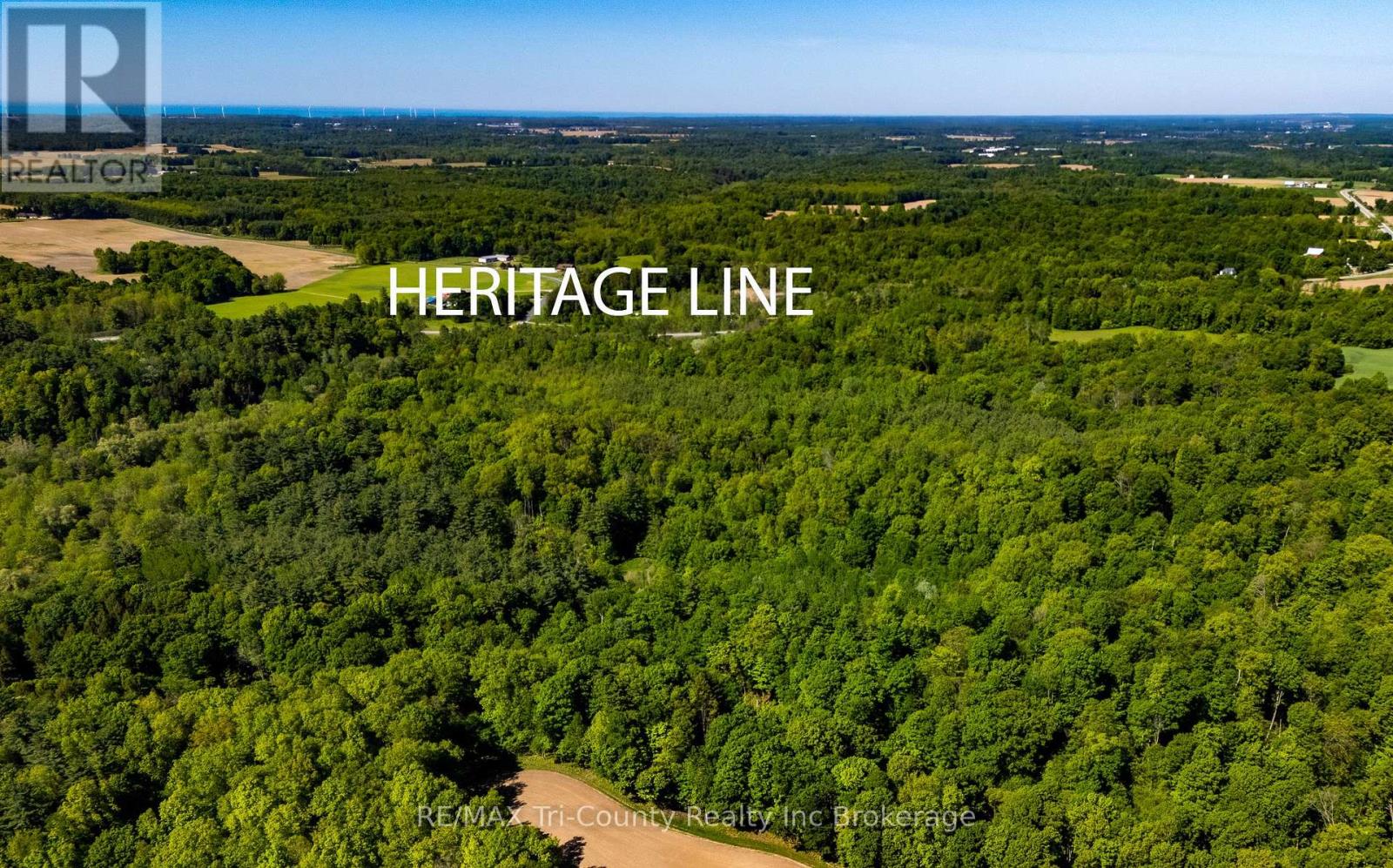 55234 Heritage Line, Bayham, Ontario  N0J 1Y0 - Photo 3 - X13238418