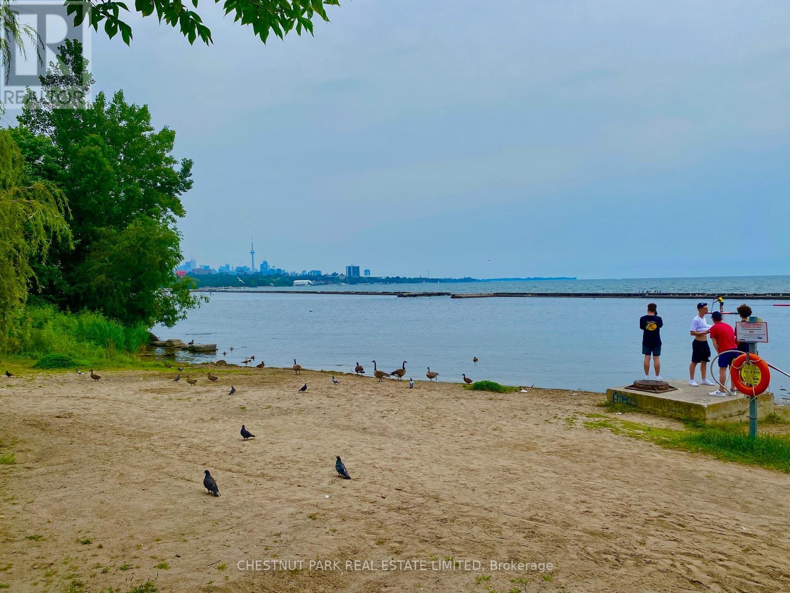 Rear - 95 Parkside Drive, Toronto, Ontario  M6R 2Y8 - Photo 40 - W13238258
