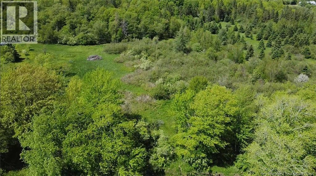 Rte 121, Riverbank, New Brunswick  E2E 4M6 - Photo 11 - NB141057