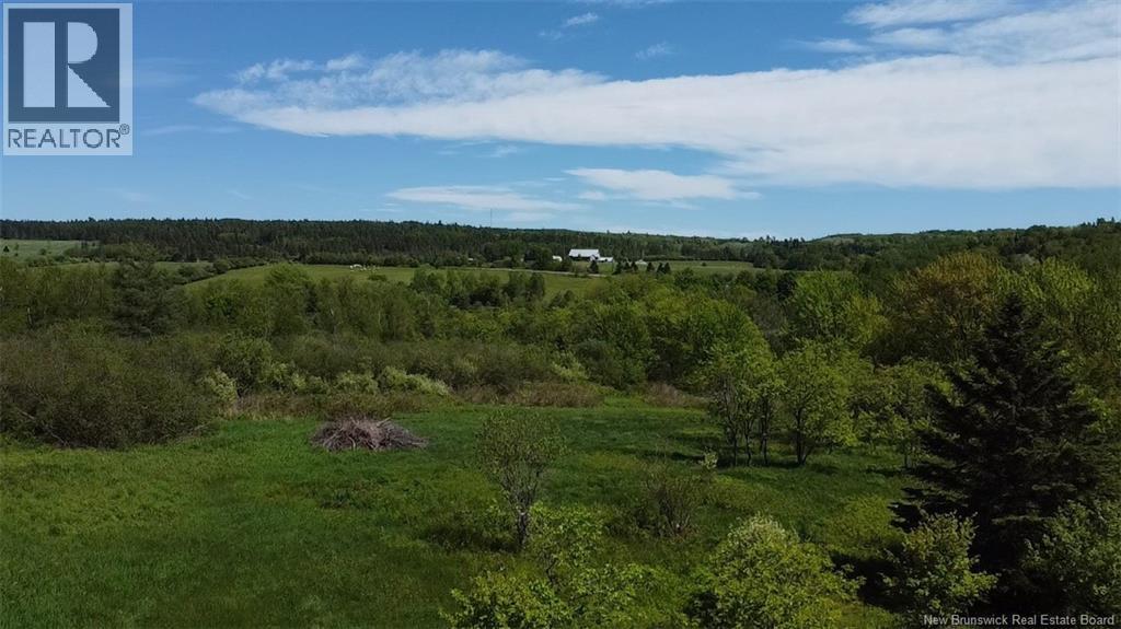Rte 121, Riverbank, New Brunswick  E2E 4M6 - Photo 19 - NB141057