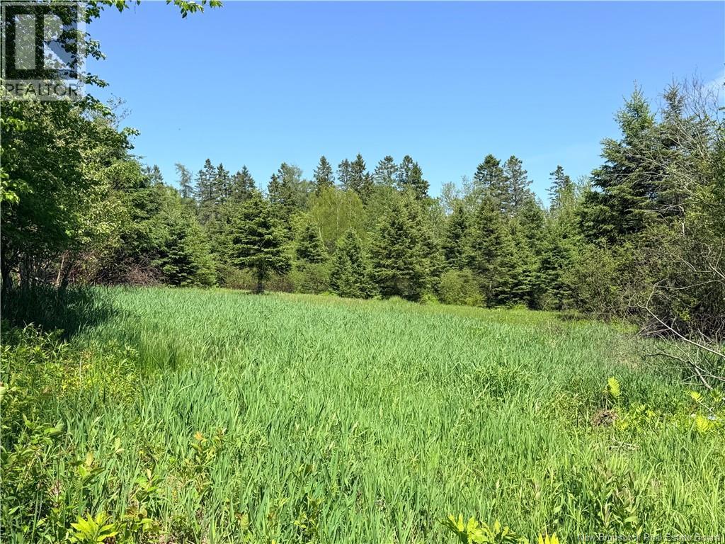 Rte 121, Riverbank, New Brunswick  E2E 4M6 - Photo 6 - NB141057
