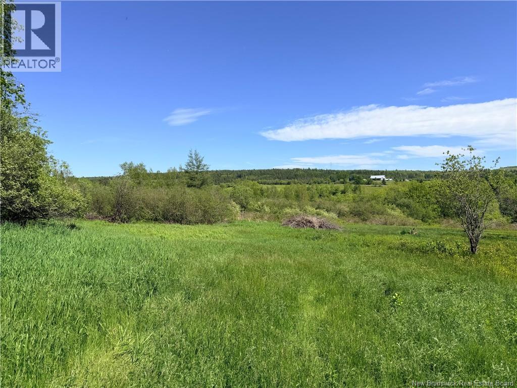 Rte 121, Riverbank, New Brunswick  E2E 4M6 - Photo 8 - NB141057
