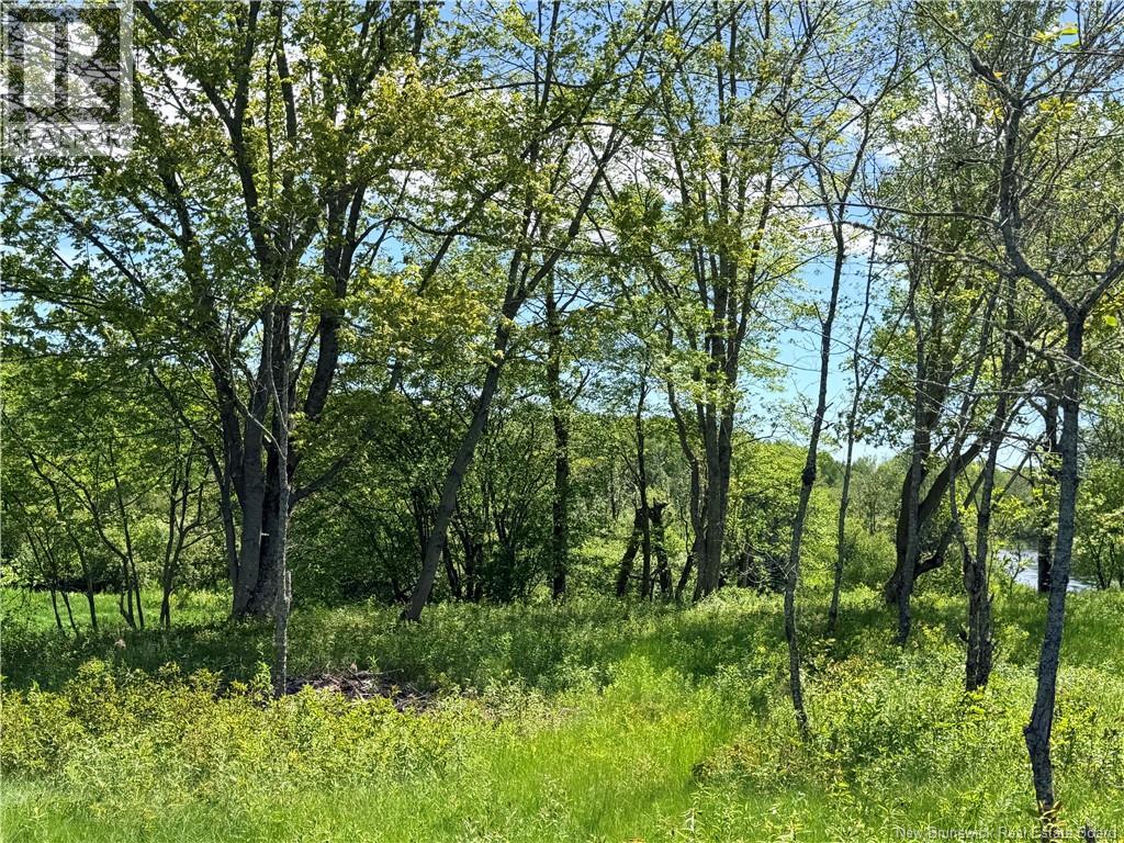 Rte 121, Riverbank, New Brunswick  E2E 4M6 - Photo 4 - NB141057