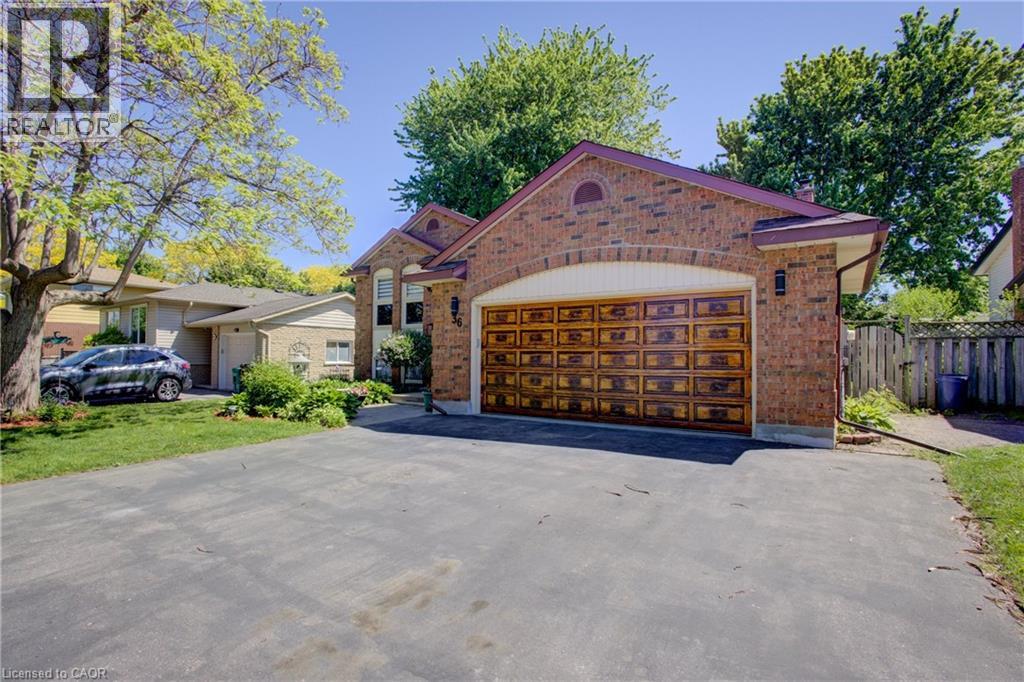 36 Westchester Drive, Kitchener, Ontario  N2B 1W7 - Photo 3 - 40836556