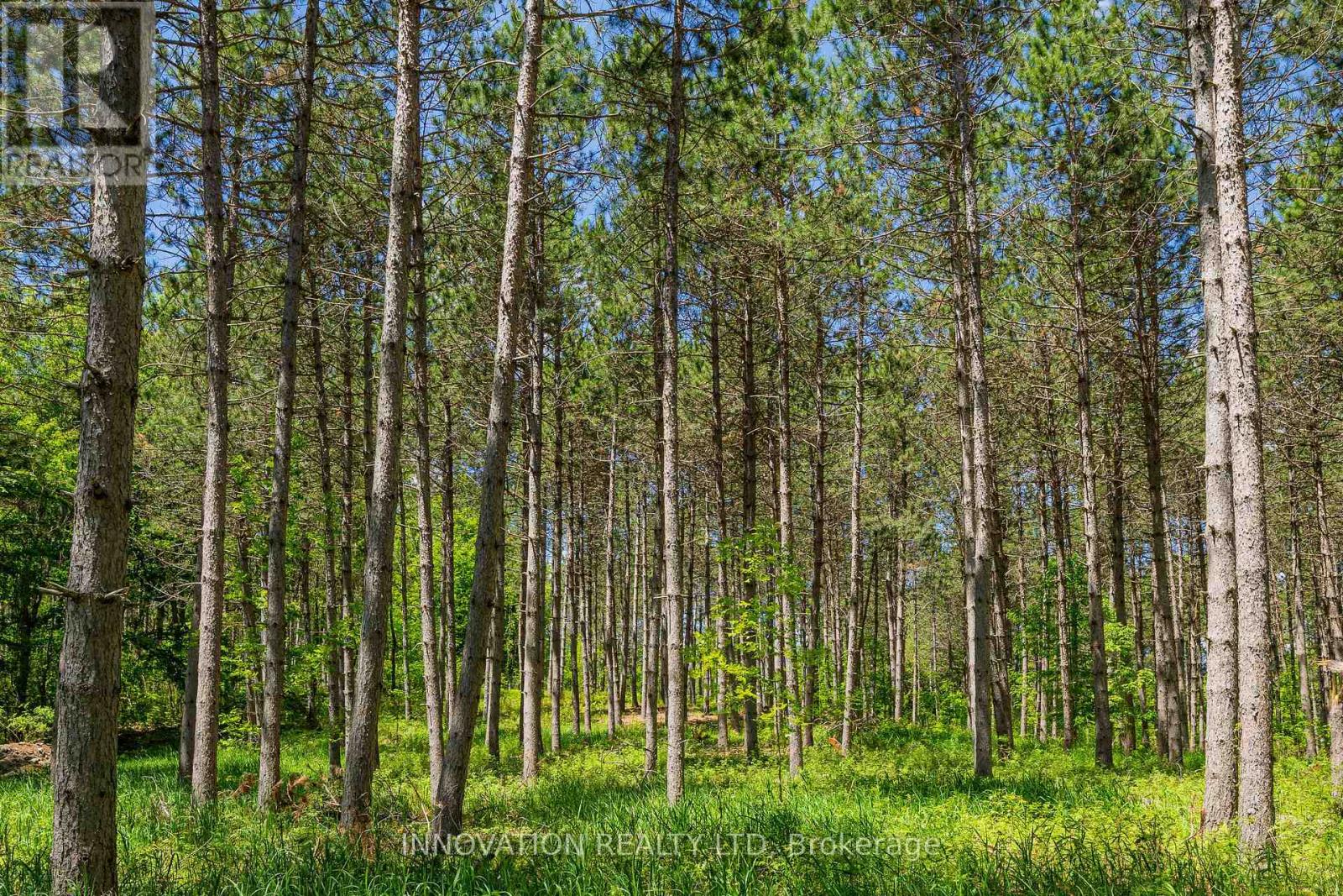 354 Mcculloch Road, Lanark Highlands, Ontario  K0G 1M0 - Photo 10 - X13238732