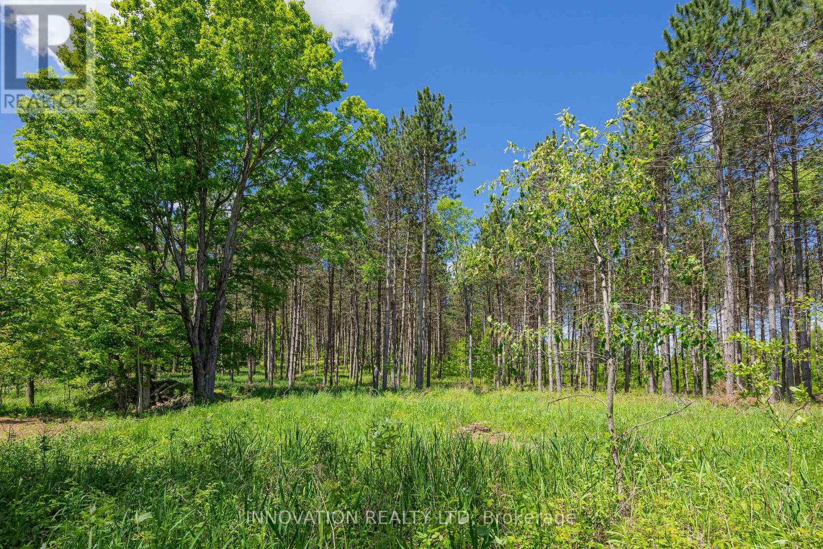 354 Mcculloch Road, Lanark Highlands, Ontario  K0G 1M0 - Photo 4 - X13238732