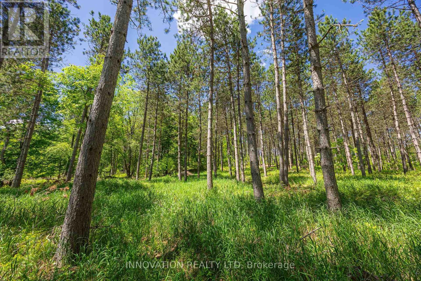 354 Mcculloch Road, Lanark Highlands, Ontario  K0G 1M0 - Photo 7 - X13238732