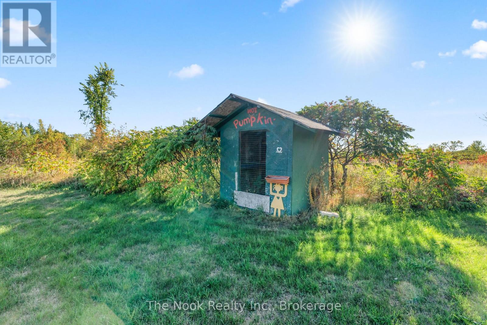 46 Mcguire Beach Road, Kawartha Lakes, Ontario  K0M 2B0 - Photo 28 - X13238610