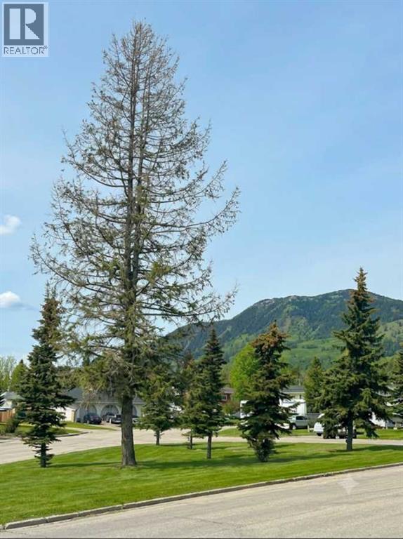 10629 104 Avenue, Grande Cache, Alberta  T0E 0Y0 - Photo 22 - A2317556