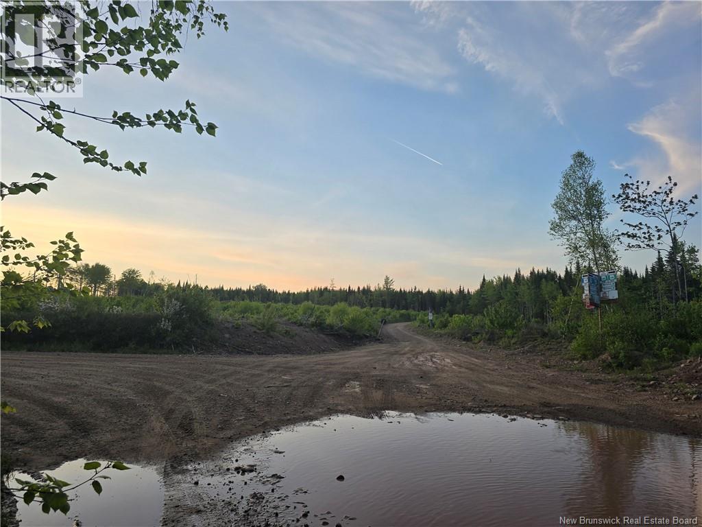 Lot 2 Dingley Road, Head Of Millstream, New Brunswick  E4Z 1W1 - Photo 11 - NB140535