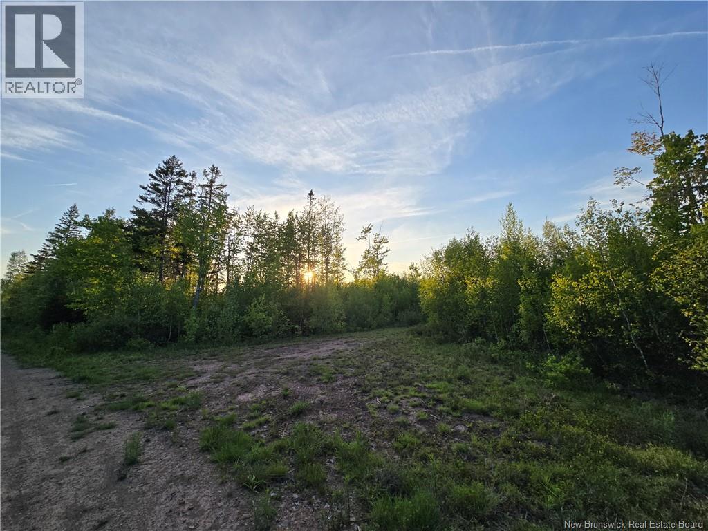 Lot 2 Dingley Road, Head Of Millstream, New Brunswick  E4Z 1W1 - Photo 2 - NB140535