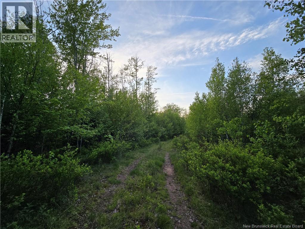 Lot 2 Dingley Road, Head Of Millstream, New Brunswick  E4Z 1W1 - Photo 3 - NB140535