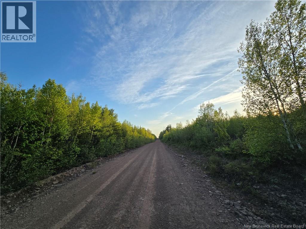 Lot 1 Dingley Road, Head Of Millstream, New Brunswick  E4Z 1W1 - Photo 13 - NB139641