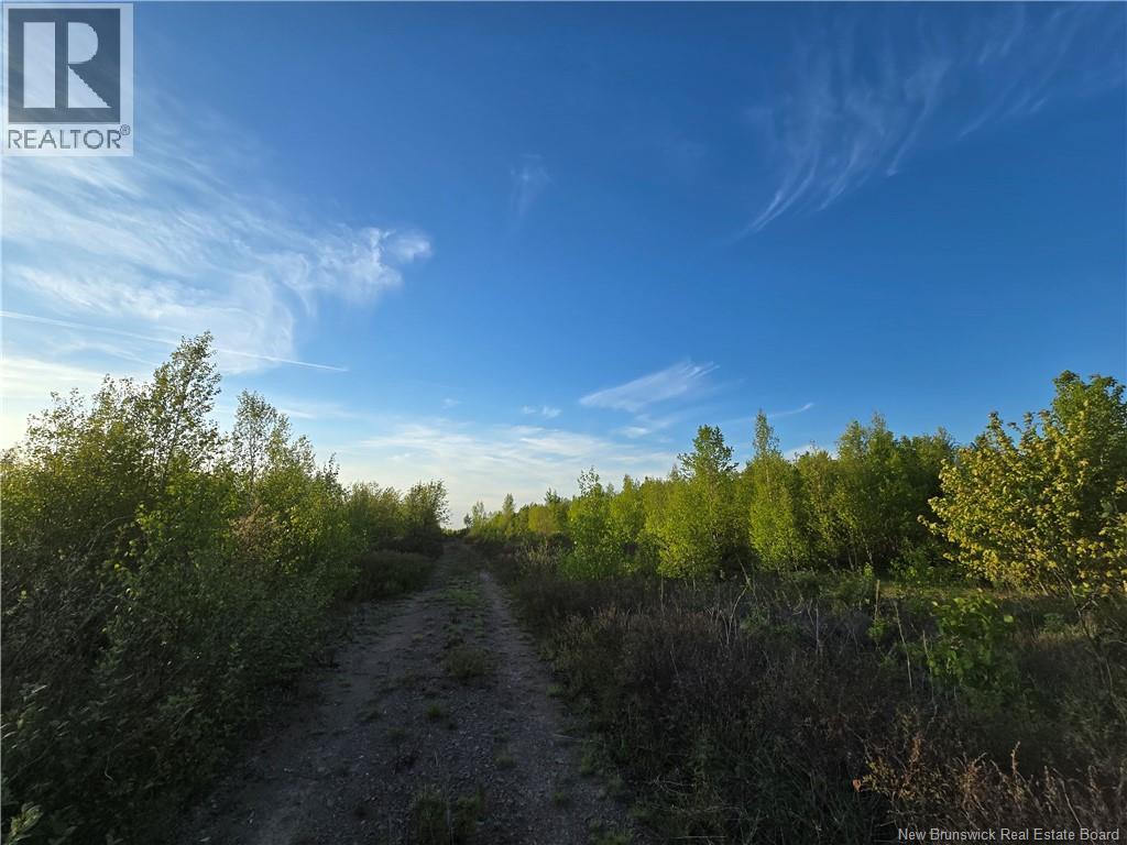Lot 1 Dingley Road, Head Of Millstream, New Brunswick  E4Z 1W1 - Photo 2 - NB139641