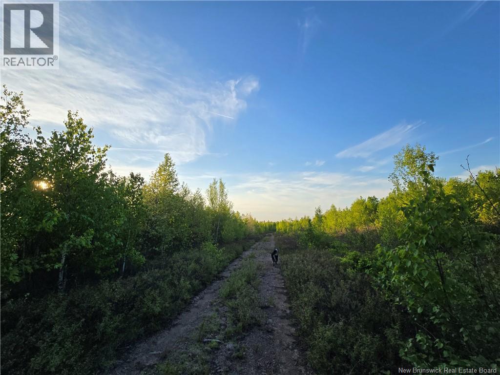 Lot 1 Dingley Road, Head Of Millstream, New Brunswick  E4Z 1W1 - Photo 5 - NB139641