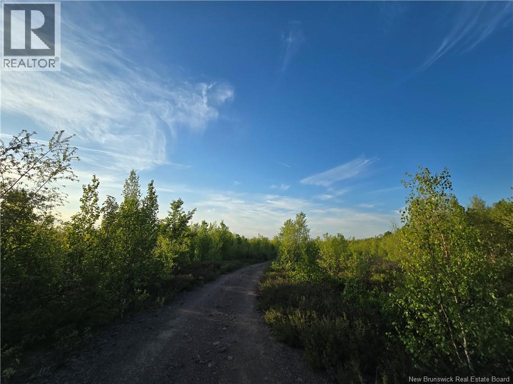 Lot 1 Dingley Road, Head Of Millstream, New Brunswick  E4Z 1W1 - Photo 6 - NB139641