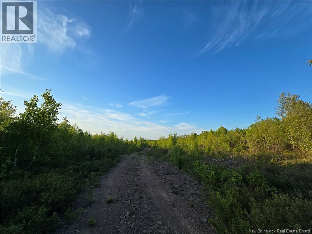 Lot 1 Dingley Road, Head Of Millstream, New Brunswick  E4Z 1W1 - Photo 7 - NB139641