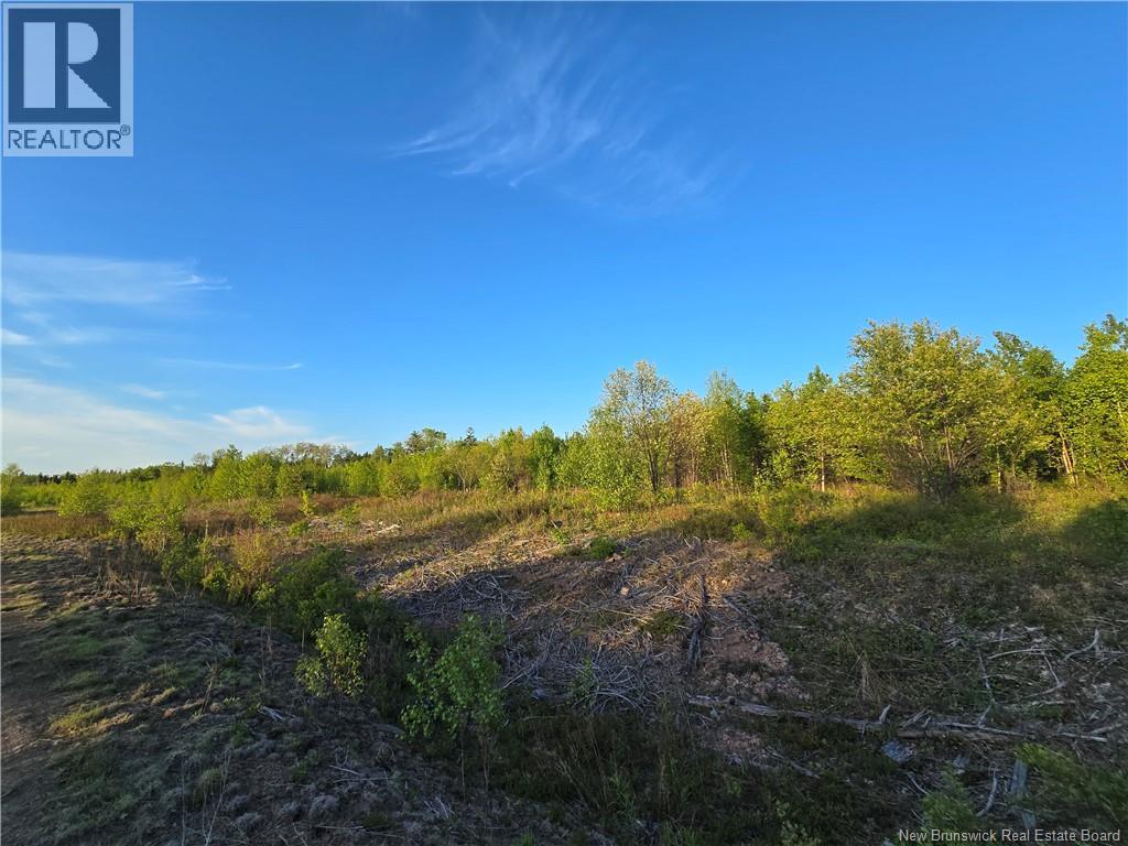 Lot 1 Dingley Road, Head Of Millstream, New Brunswick  E4Z 1W1 - Photo 8 - NB139641