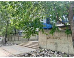 #206 11415 100 Av NW, Edmonton, Alberta T5K 0J5 (29852243)