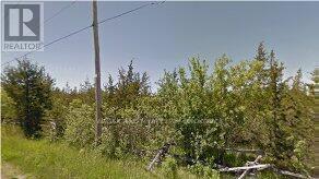 265 CRAIGEN ROAD, Stone Mills, Ontario