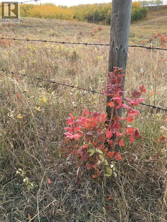96 Street W, Rural Foothills County, Alberta  T1S 3K4 - Photo 1 - A2316170