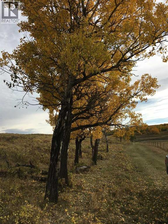 96 Street W, Rural Foothills County, Alberta  T1S 3K4 - Photo 4 - A2316170