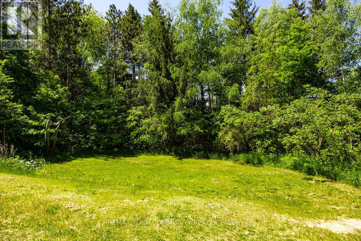 3132 Twelfth Line, Bradford West Gwillimbury, Ontario  L3Z 3P2 - Photo 32 - N12703142