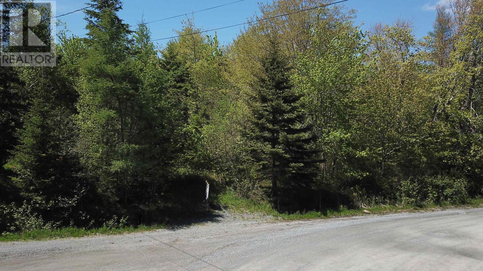 Mcmullin Road, Antrim Lot B Road, Antrim, Nova Scotia  B0N 1Y0 - Photo 3 - 202613234