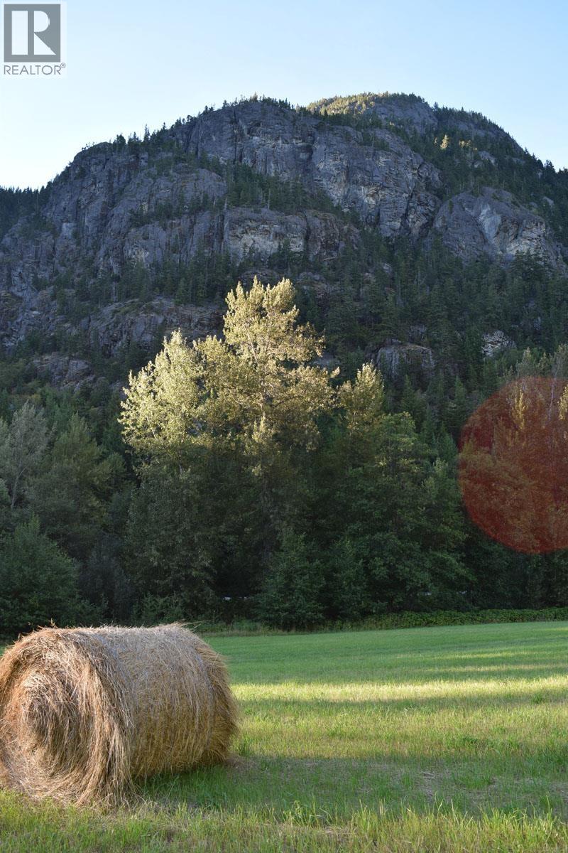 SE 1/4 Sec 29 Mackenzie 20 Highway, Bella Coola, British Columbia  V0T 1H0 - Photo 19 - R3131623
