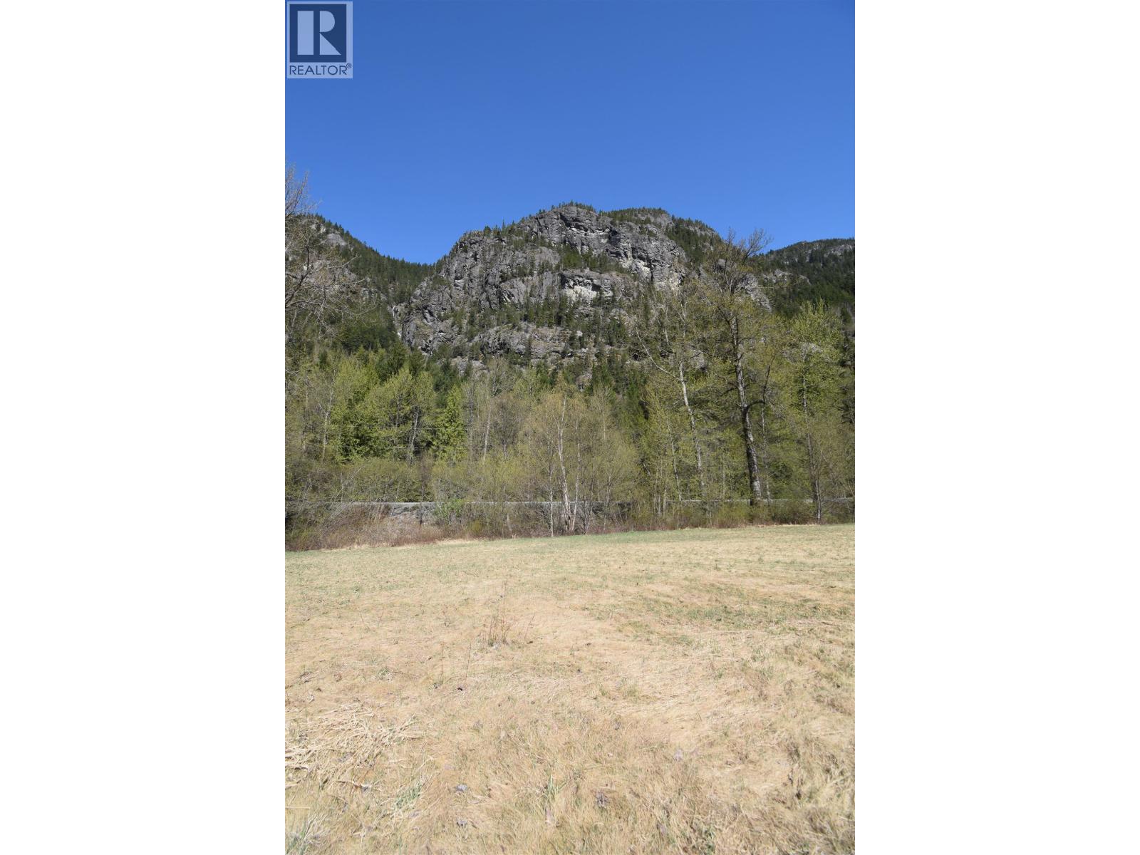 SE 1/4 Sec 29 Mackenzie 20 Highway, Bella Coola, British Columbia  V0T 1H0 - Photo 13 - R3131623