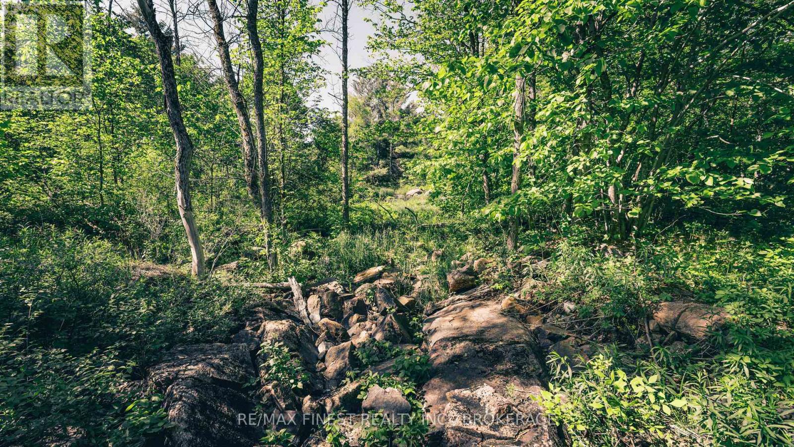 343 Church Road, Stone Mills, Ontario  K0K 1Z0 - Photo 11 - X13240122